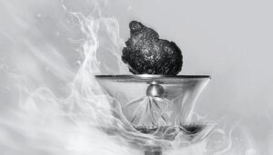 Lợi ích của việc tham dự