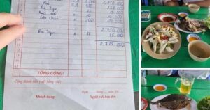 Phản hồi từ chủ bè